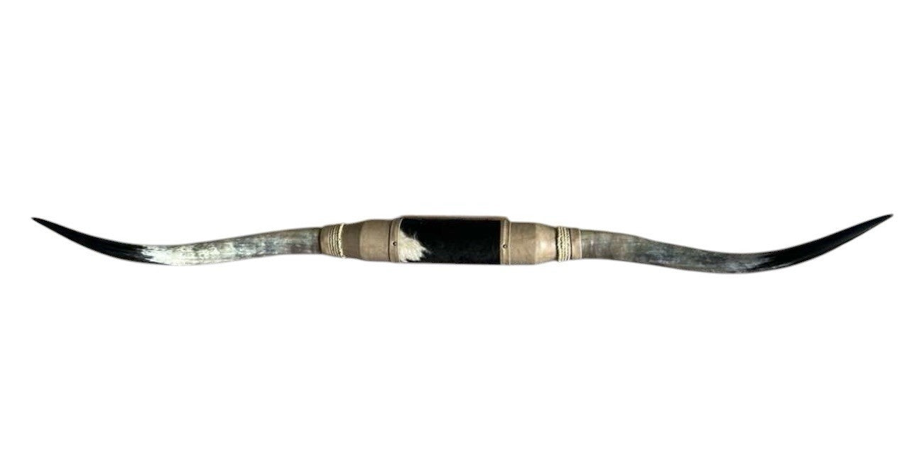 MOUNTED STEER HORNS About 6 feet wide LONGHORN POLISHED MOUNT BULL COW B130