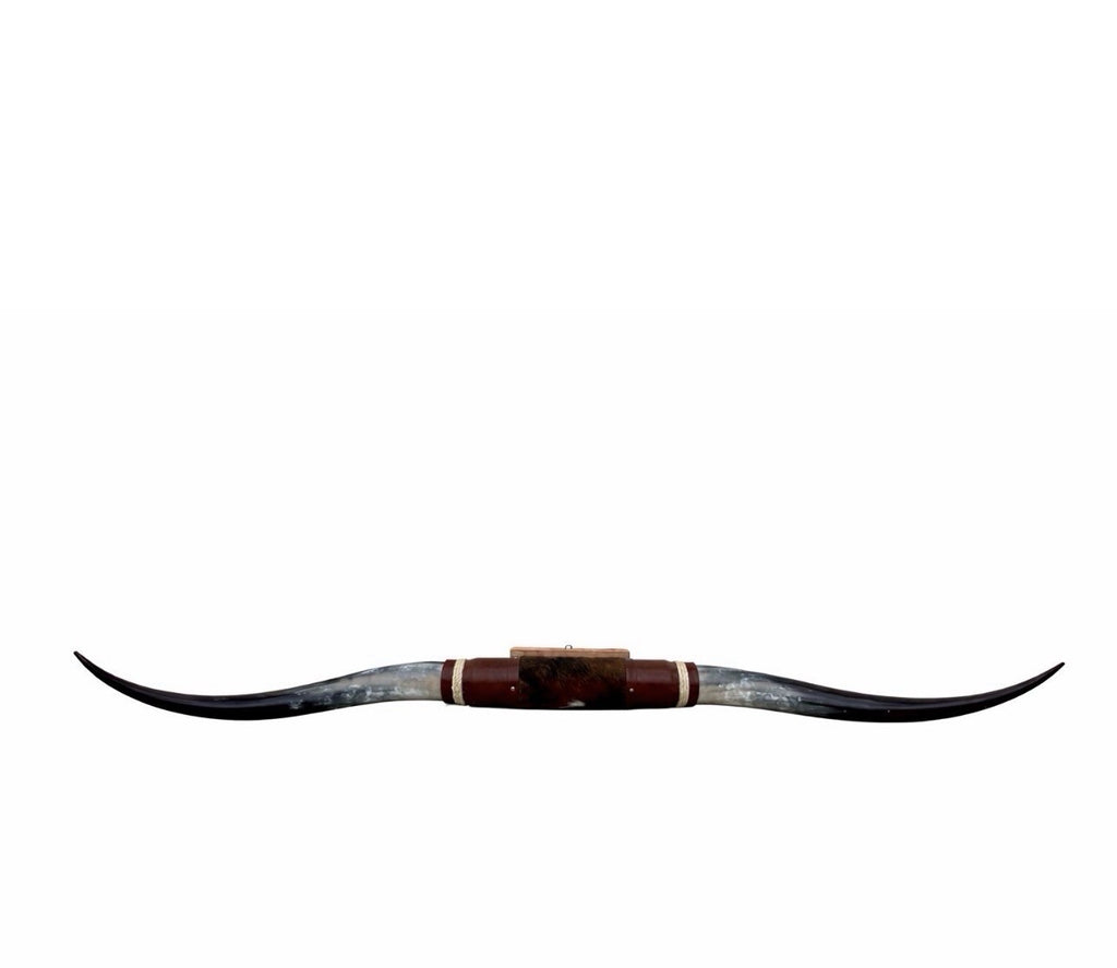 MOUNTED STEER HORNS About 6 feet wide LONGHORN POLISHED MOUNT BULL COW B122