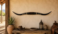 MOUNTED STEER HORNS About 6 feet wide LONGHORN POLISHED MOUNT BULL COW B142