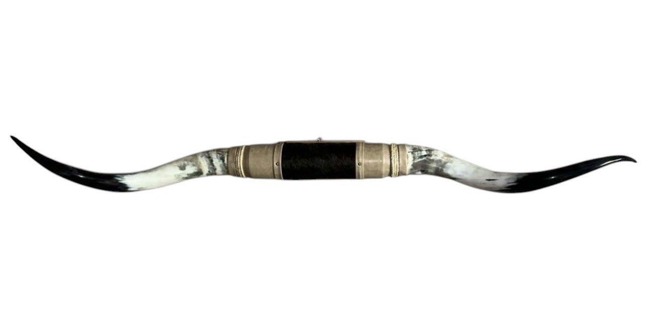 MOUNTED STEER HORNS About 6 feet wide LONGHORN POLISHED MOUNT BULL COW B139