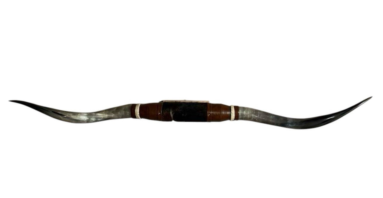MOUNTED STEER HORNS About 6 feet wide LONGHORN POLISHED MOUNT BULL COW B136