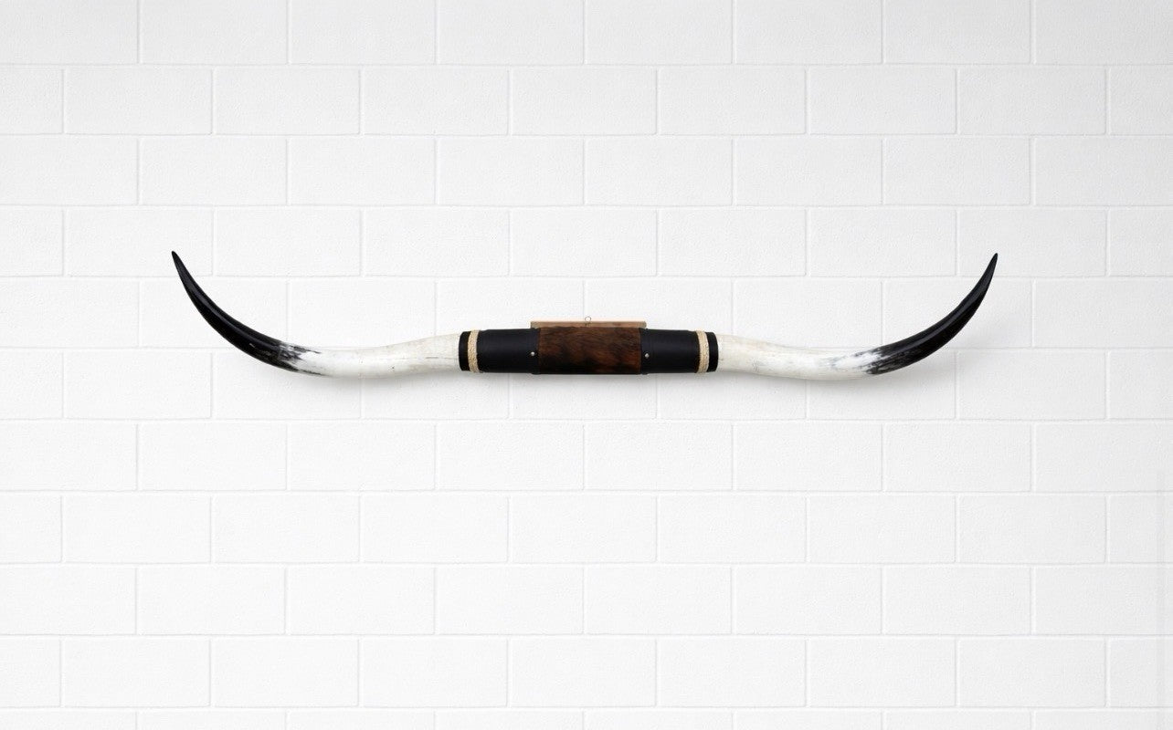 MOUNTED STEER HORNS About 6 feet wide LONGHORN POLISHED MOUNT BULL COW B111