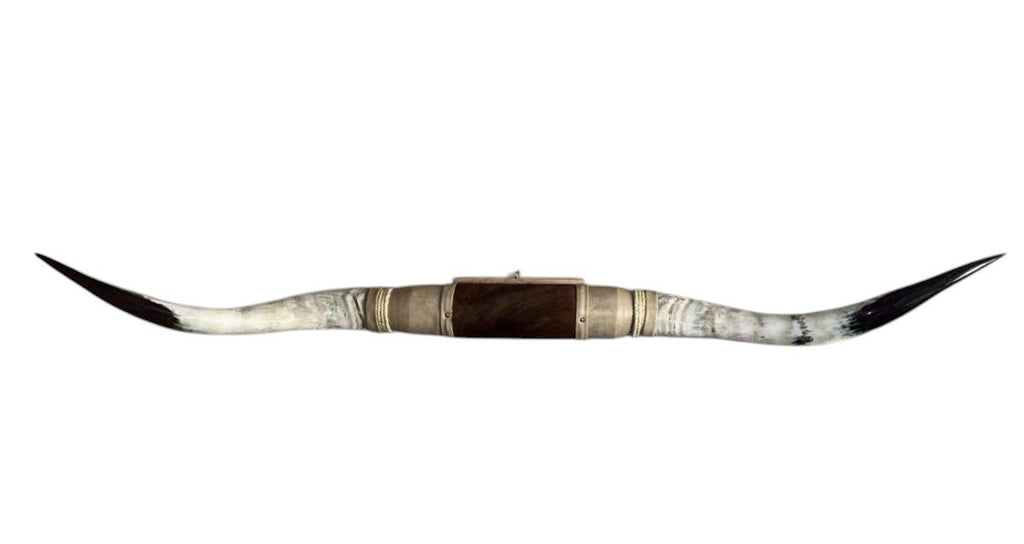 MOUNTED STEER HORNS About 6 feet wide LONGHORN POLISHED MOUNT BULL COW B158