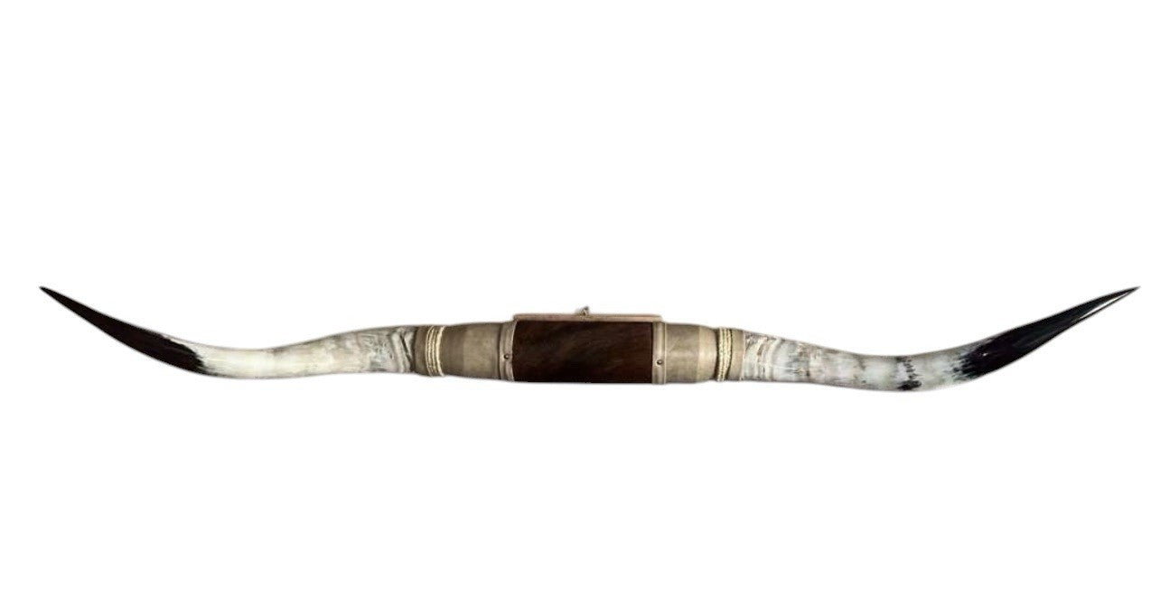MOUNTED STEER HORNS About 6 feet wide LONGHORN POLISHED MOUNT BULL COW B158
