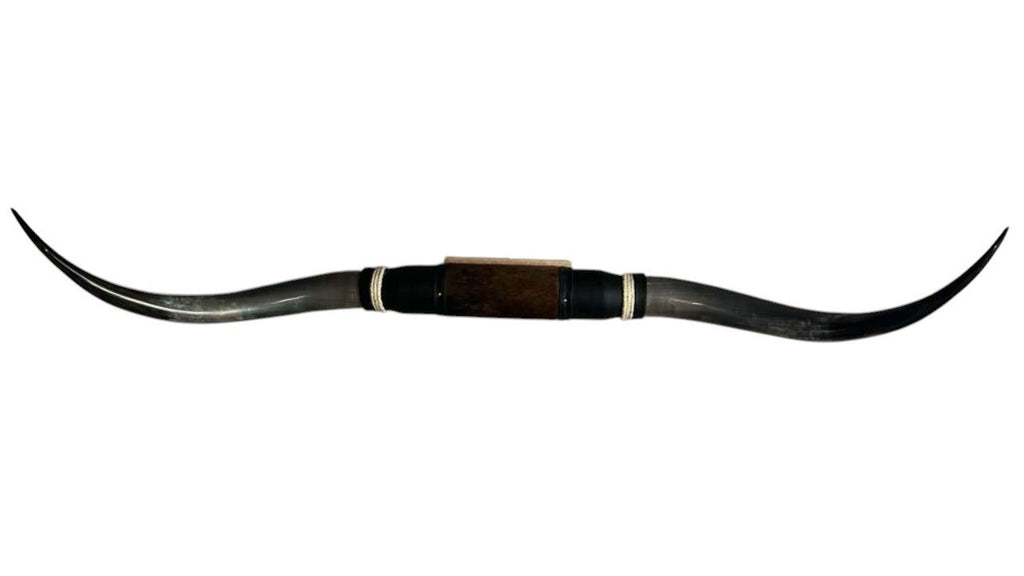 MOUNTED STEER HORNS About 6 feet wide LONGHORN POLISHED MOUNT BULL COW B152