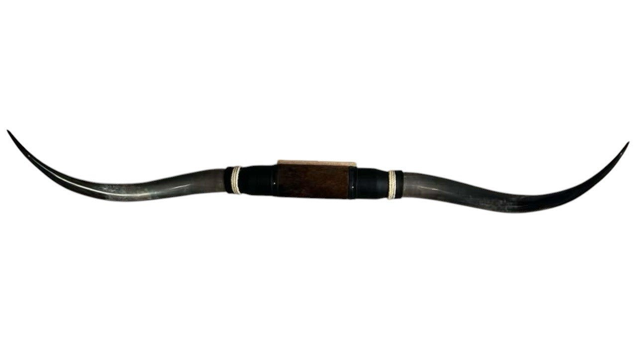 MOUNTED STEER HORNS About 6 feet wide LONGHORN POLISHED MOUNT BULL COW B152