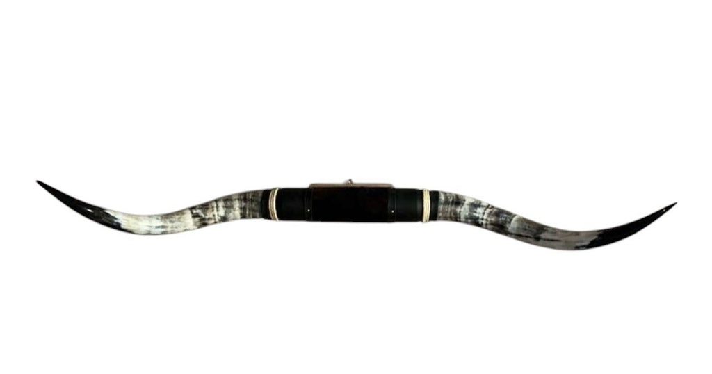MOUNTED STEER HORNS About 6 feet wide LONGHORN POLISHED MOUNT BULL COW B138
