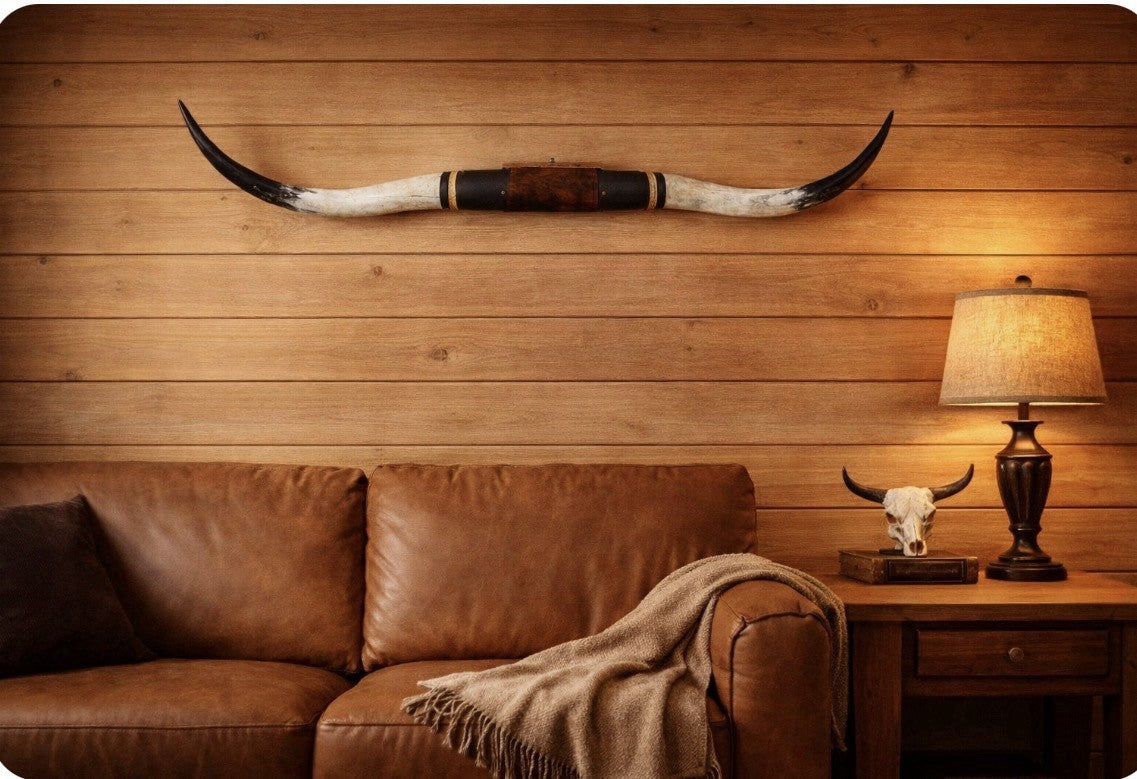 MOUNTED STEER HORNS About 6 feet wide LONGHORN POLISHED MOUNT BULL COW B111