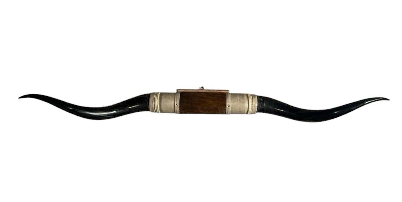 MOUNTED STEER HORNS About 6 feet wide LONGHORN POLISHED MOUNT BULL COW B153
