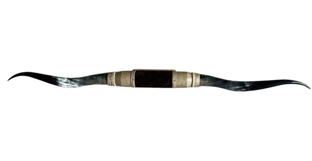MOUNTED STEER HORNS About 6 feet wide LONGHORN POLISHED MOUNT BULL COW B126