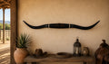 MOUNTED STEER HORNS About 6 feet wide LONGHORN POLISHED MOUNT BULL COW B146