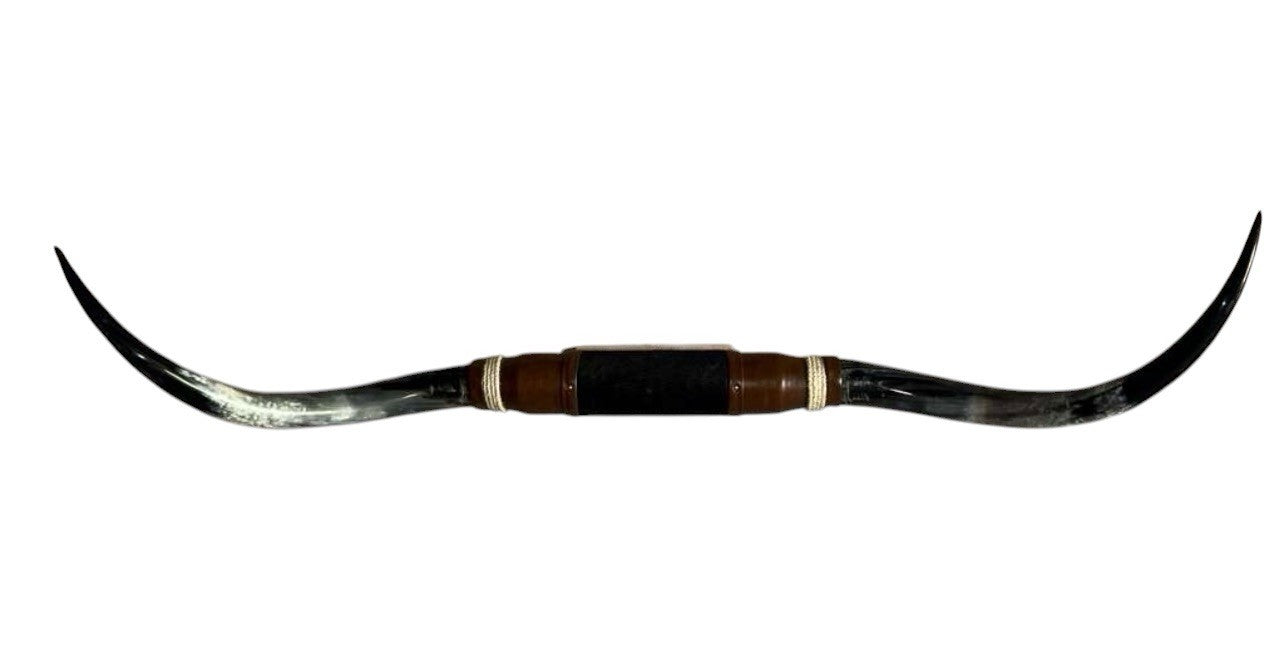 MOUNTED STEER HORNS About 6 feet wide LONGHORN POLISHED MOUNT BULL COW B132