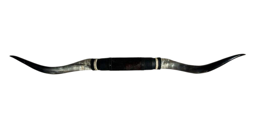 MOUNTED STEER HORNS About 6 feet wide LONGHORN POLISHED MOUNT BULL COW B129