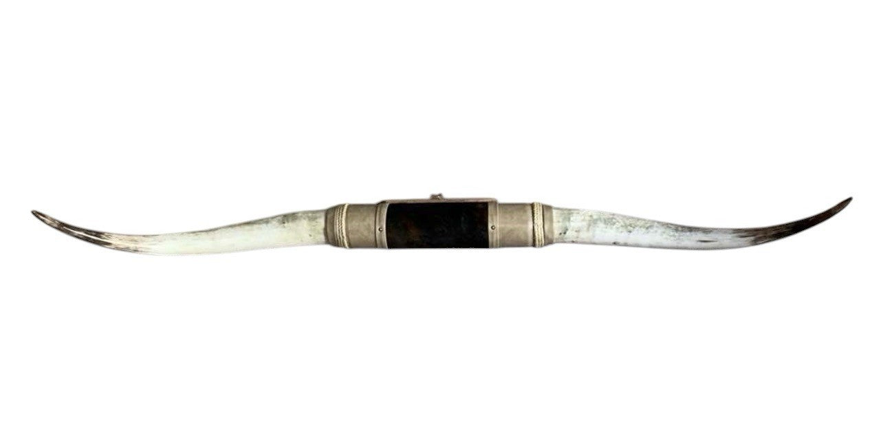 MOUNTED STEER HORNS About 6 feet wide LONGHORN POLISHED MOUNT BULL COW B143