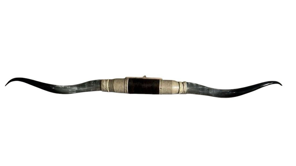 MOUNTED STEER HORNS About 6 feet wide LONGHORN POLISHED MOUNT BULL COW B145