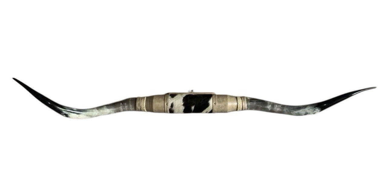 MOUNTED STEER HORNS About 6 feet wide LONGHORN POLISHED MOUNT BULL COW B133