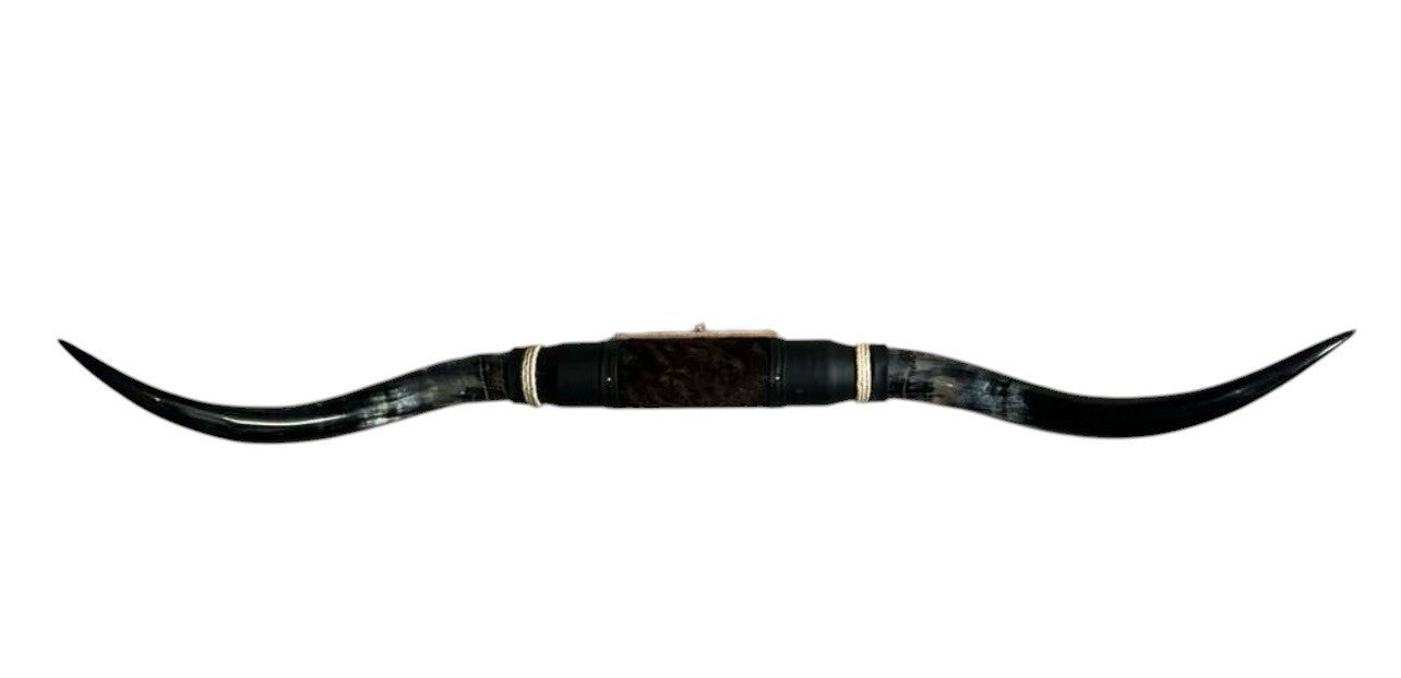 MOUNTED STEER HORNS About 6 feet wide LONGHORN POLISHED MOUNT BULL COW B142