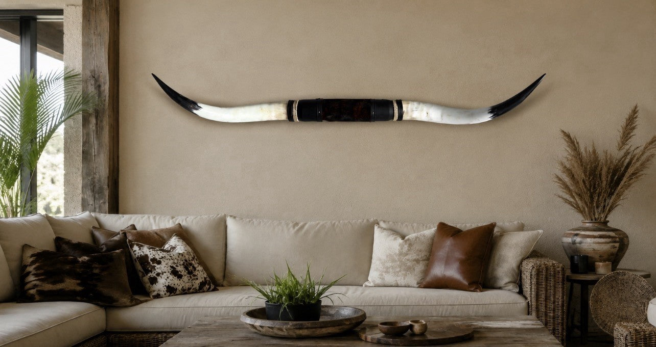 MOUNTED STEER HORNS About 6 feet wide LONGHORN POLISHED MOUNT BULL COW B127