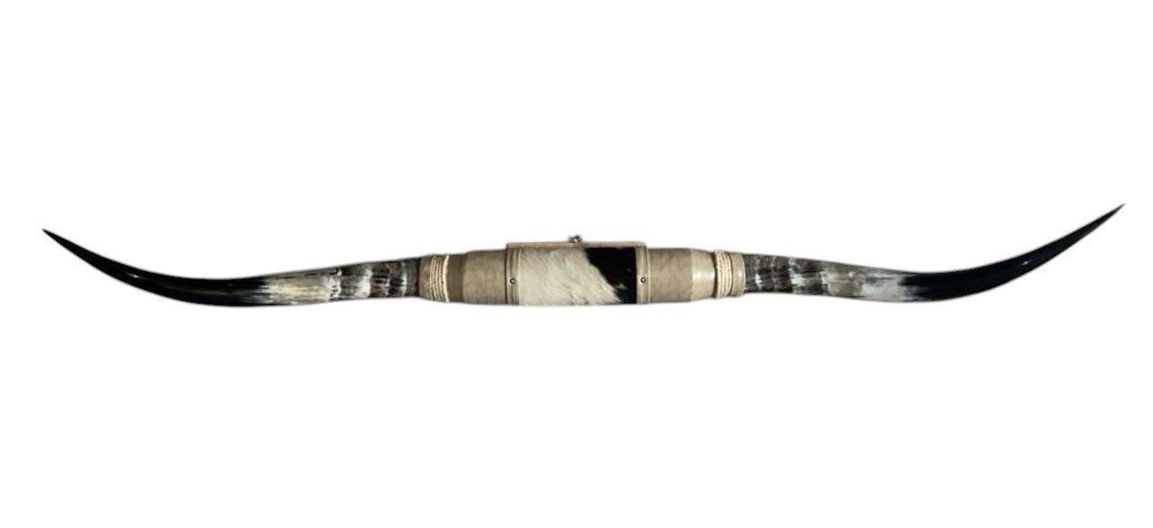 MOUNTED STEER HORNS About 6 feet wide LONGHORN POLISHED MOUNT BULL COW B150