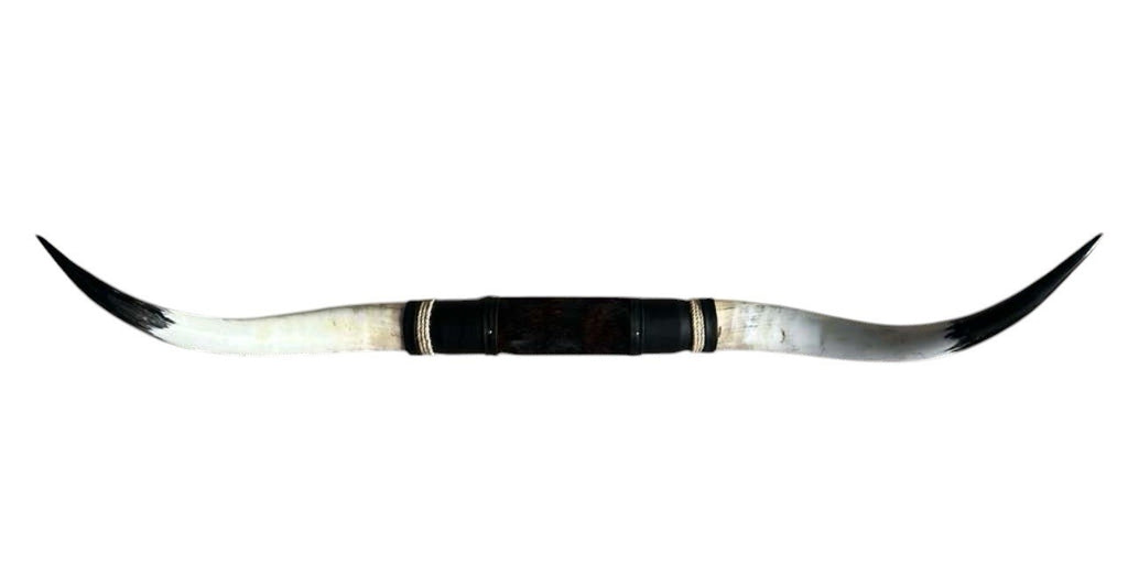 MOUNTED STEER HORNS About 6 feet wide LONGHORN POLISHED MOUNT BULL COW B127