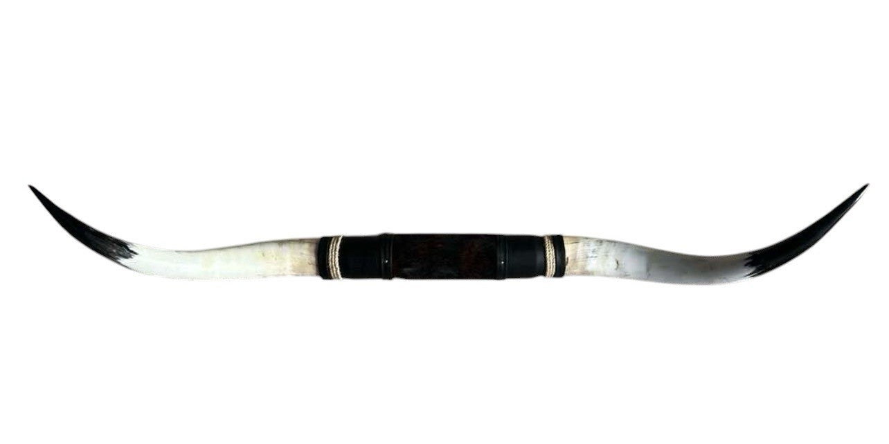 MOUNTED STEER HORNS About 6 feet wide LONGHORN POLISHED MOUNT BULL COW B127
