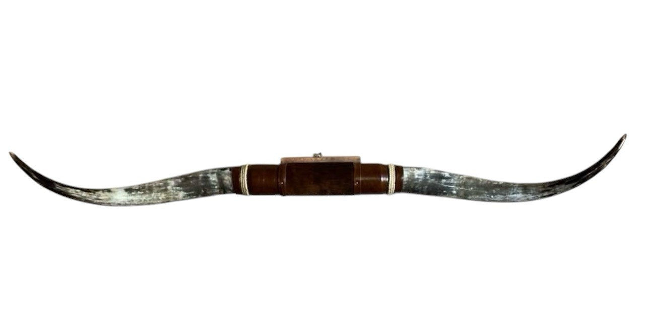 MOUNTED STEER HORNS About 6 feet wide LONGHORN POLISHED MOUNT BULL COW B141