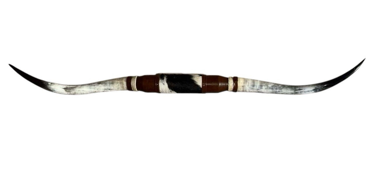 MOUNTED STEER HORNS About 6 feet wide LONGHORN POLISHED MOUNT BULL COW B149