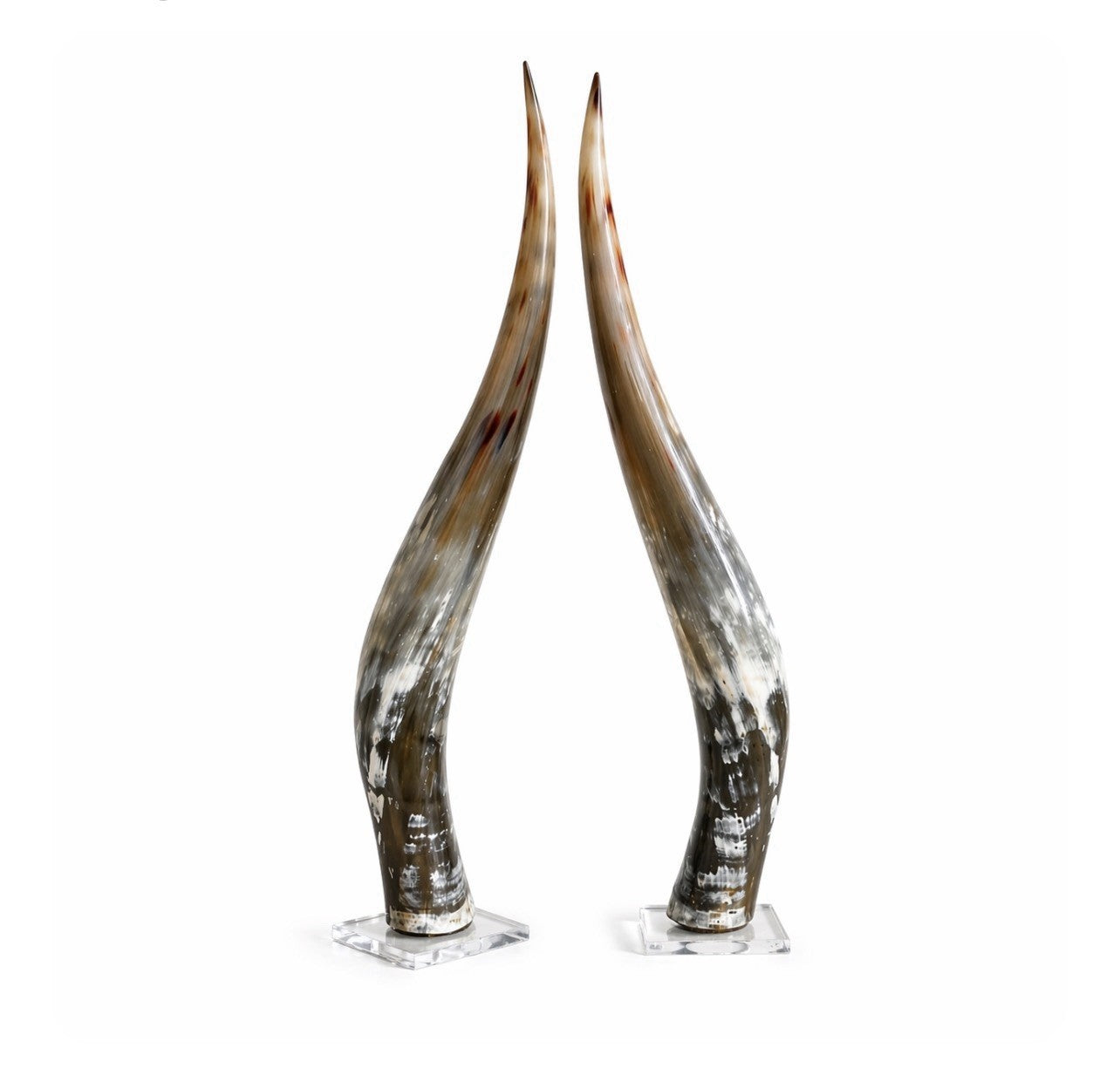 Vintage Steer Horns About 25 To 30”Horns Mounted On Crystal Longhorn Decor