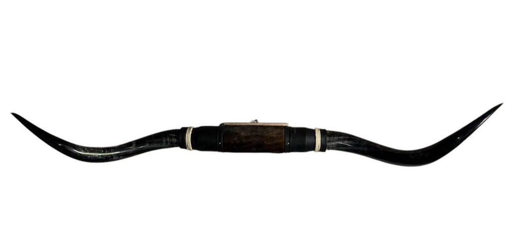 MOUNTED STEER HORNS About 6 feet wide LONGHORN POLISHED MOUNT BULL COW B146