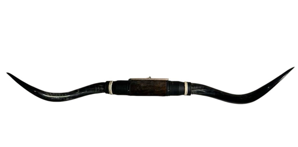 MOUNTED STEER HORNS About 6 feet wide LONGHORN POLISHED MOUNT BULL COW B147