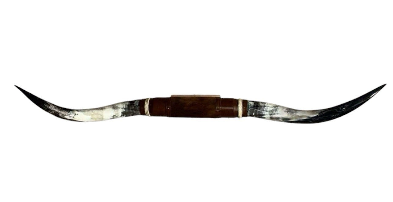 MOUNTED STEER HORNS About 6 feet wide LONGHORN POLISHED MOUNT BULL COW B154