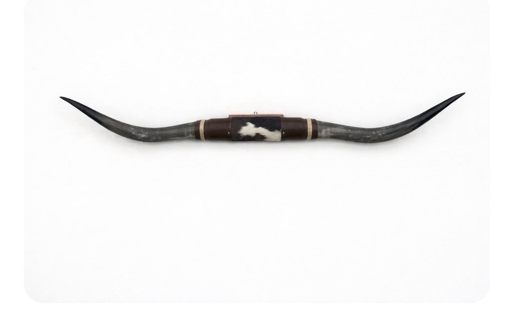 MOUNTED STEER HORNS About 6 feet wide LONGHORN POLISHED MOUNT BULL COW B117