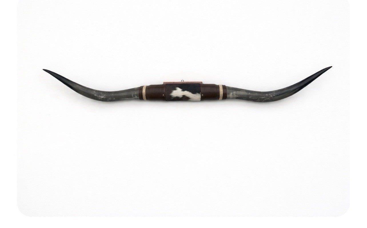 MOUNTED STEER HORNS About 6 feet wide LONGHORN POLISHED MOUNT BULL COW B117