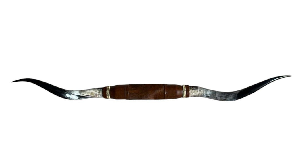 MOUNTED STEER HORNS About 6 feet wide LONGHORN POLISHED MOUNT BULL COW B131