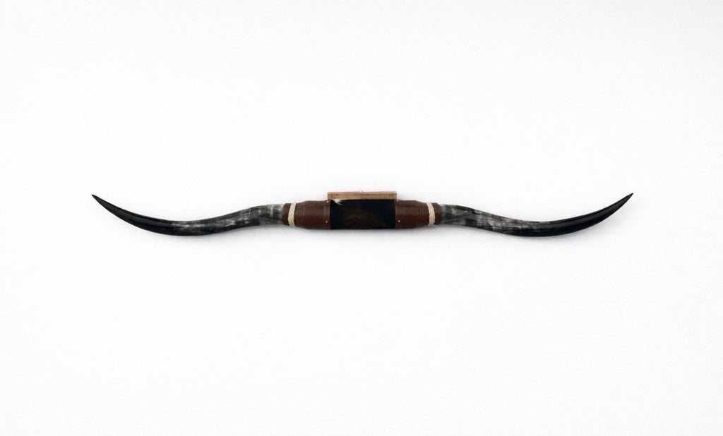 MOUNTED STEER HORNS About 6 feet wide LONGHORN POLISHED MOUNT BULL COW B115