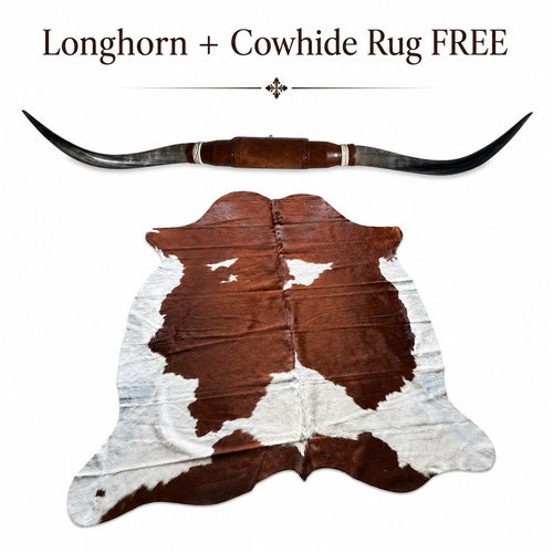 Authentic Mounted LONGHORN Wall Decor + FREE Cowhide Rug Texas Ranch Home Decor
