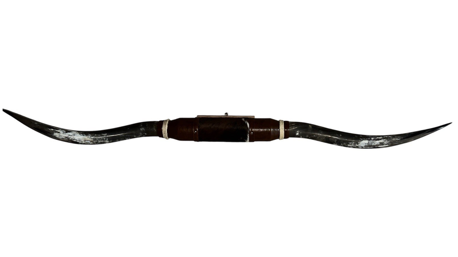 MOUNTED STEER HORNS  70 Inches wide LONGHORN POLISHED MOUNT BULL COW