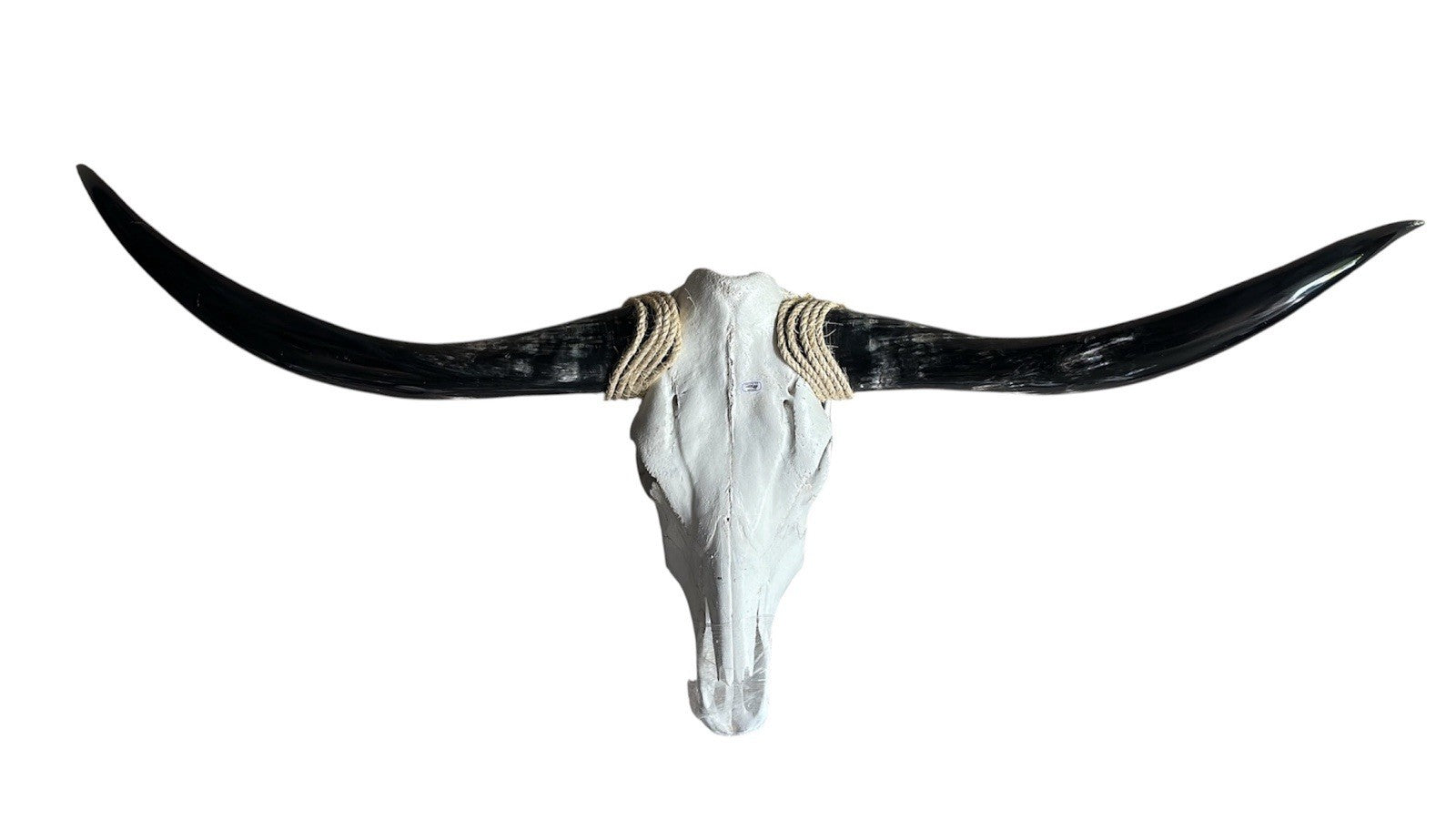 Longhorn Skull 52 Inches Wide Mounted Bull Horn Wall Decor Ranch Cabin