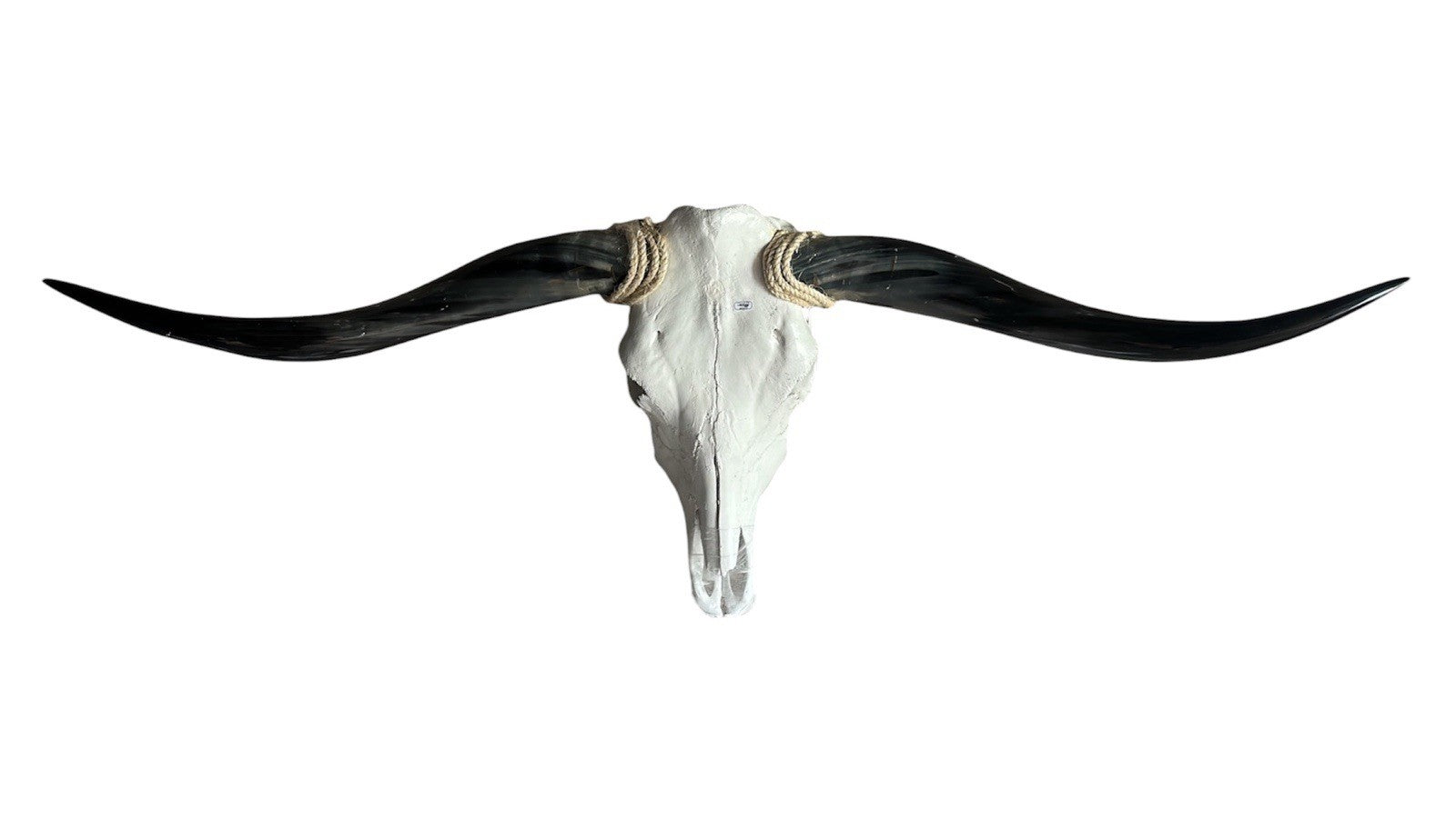 Longhorn Skull Wall Decor 54 Inches Wide Mounted Bull Horn Rustic Lodge