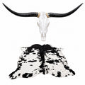 Genuine Longhorn Skull 4-4.5 ft Wide Cowhide Rug Included