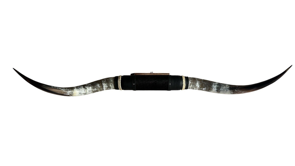 MOUNTED STEER HORNS  64 Inches wide LONGHORN POLISHED MOUNT BULL COW