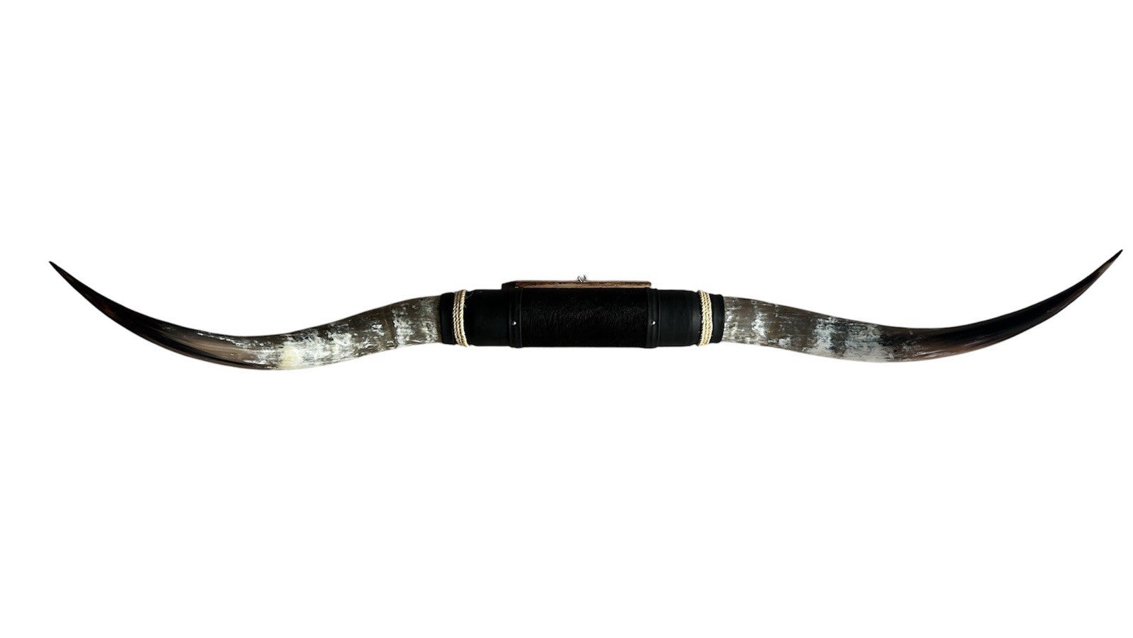 MOUNTED STEER HORNS  64 Inches wide LONGHORN POLISHED MOUNT BULL COW