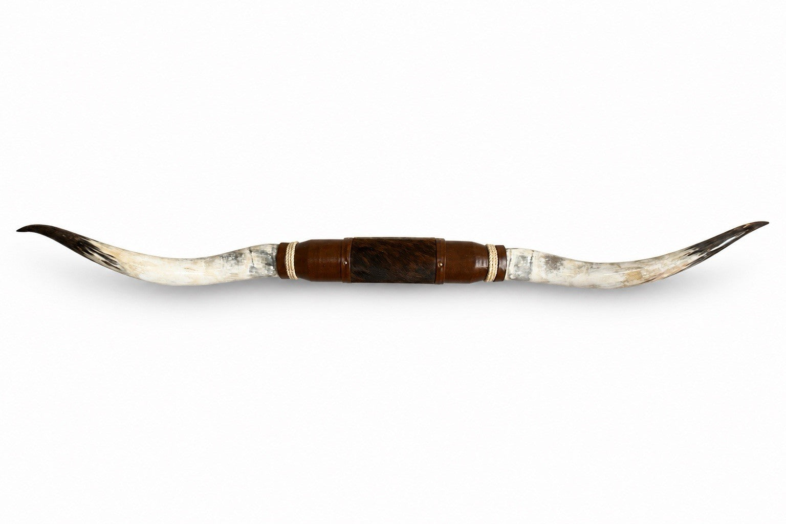 Mounted Steer Horns 69 inches  Wide Genuine Longhorn Ranch Wall Decor