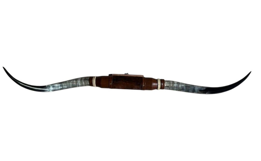 MOUNTED STEER HORNS 72 Inches wide LONGHORN POLISHED MOUNT BULL COW