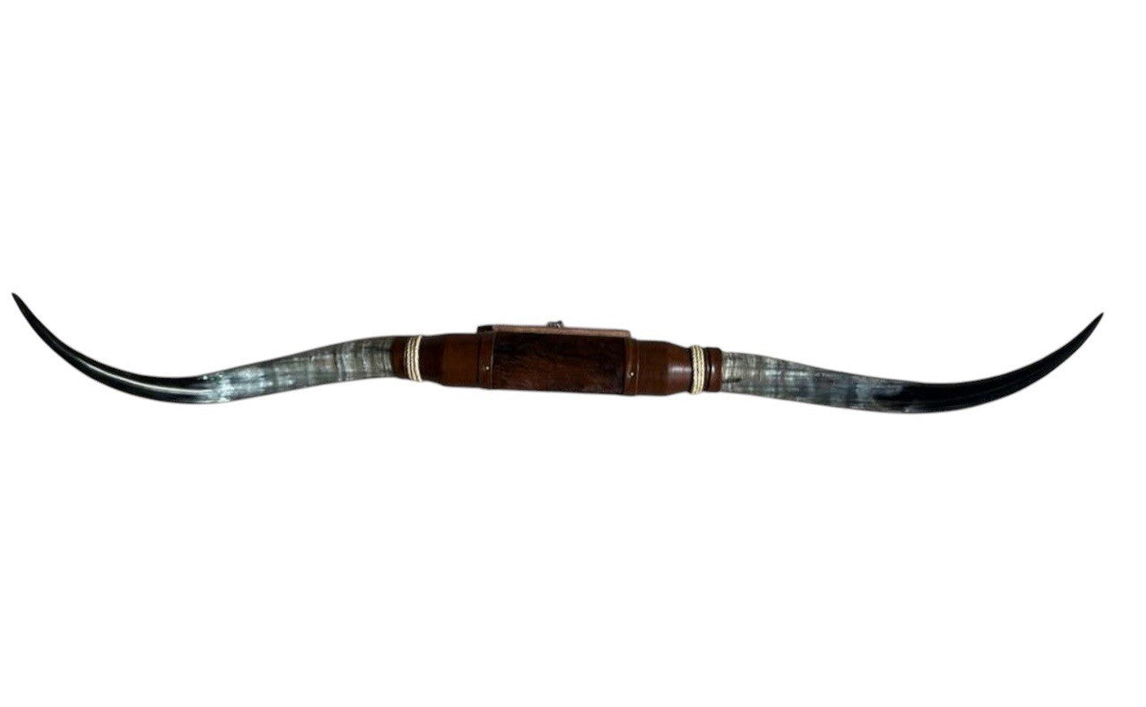 MOUNTED STEER HORNS 72 Inches wide LONGHORN POLISHED MOUNT BULL COW