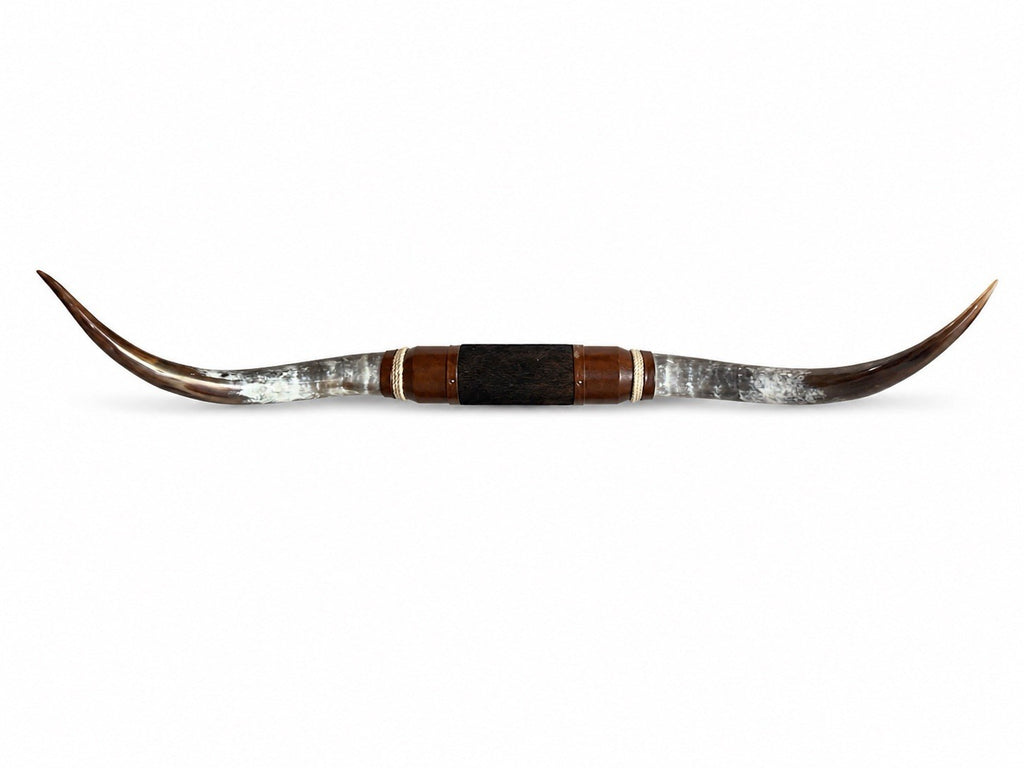 MOUNTED STEER HORNS 61 Inches wide LONGHORN POLISHED MOUNT BULL COW