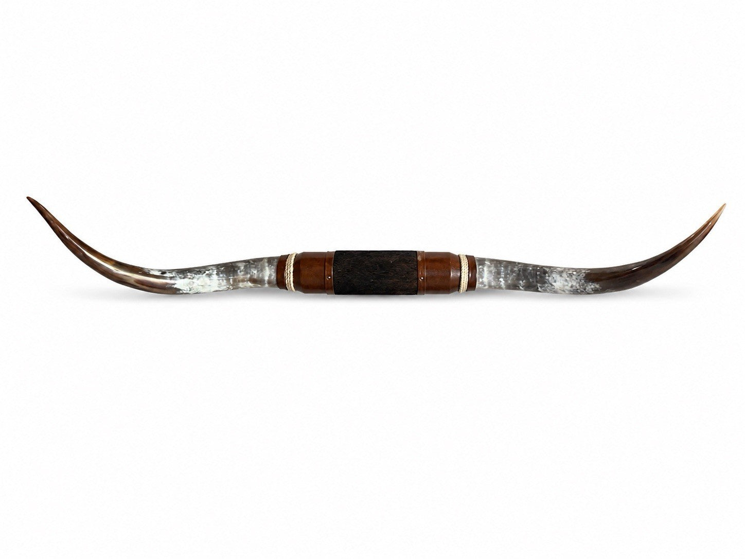 MOUNTED STEER HORNS 61 Inches wide LONGHORN POLISHED MOUNT BULL COW