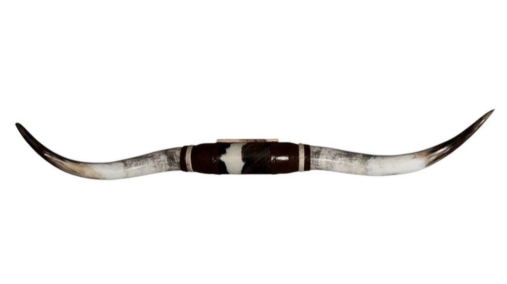 MOUNTED STEER HORNS 64 in Wide Longhorn Polished Western Decor