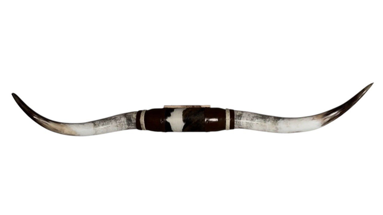 MOUNTED STEER HORNS 64 in Wide Longhorn Polished Western Decor