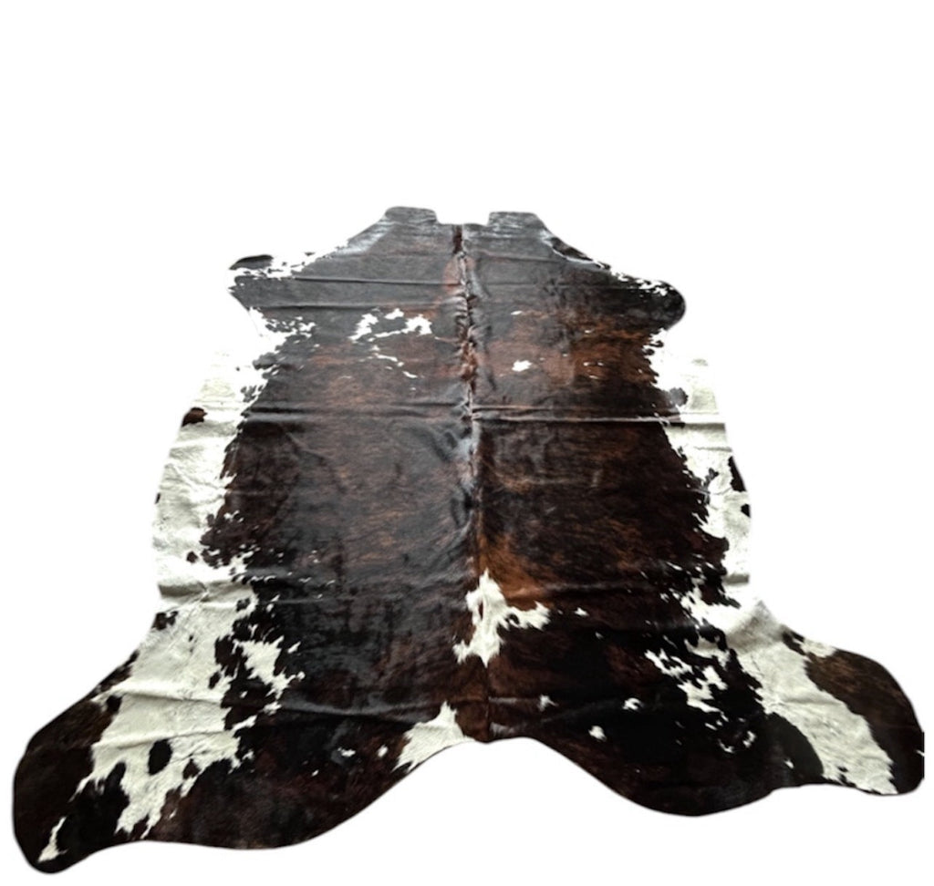 Genuine Mounted Longhorn + Cowhide Included, Western Ranch Decor, JK_B175 + C028
